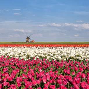 Os recantos mais floridos da Europa na primavera