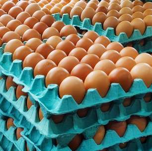 6 dicas práticas para comprar, armazenar e utilizar ovos de maneira inteligente