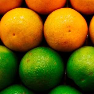 Combate ao greening: relatório de inspeção atinge o melhor índice dos últimos 20 anos