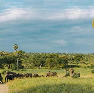 Serengeti é recinto de vida selvagem na Tanzânia