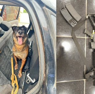 Cão farejador ajuda PF a encontrar fuzil em carro usado por fugitivos do presídio de Mossoró