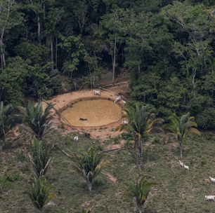 Sem controle adequado, bancos públicos financiaram o avanço ilegal do agronegócio na Amazônia