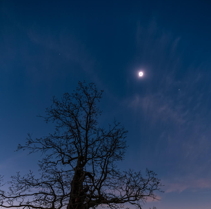 Destaque da NASA: planetas e eclipse solar são foto astronômica do dia
