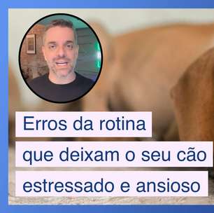 5 erros na rotina que deixam seu cachorro ansioso ou estressado