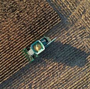 IGC reduz previsão da safra global de milho em 7 milhões de toneladas por causa dos EUA
