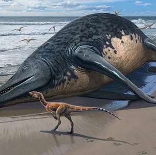 O fóssil de réptil marinho gigante de 200 milhões de anos