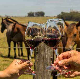 Cabe no bolso? Saiba quanto custam os 10 melhores vinhos tintos brasileiros em 2024