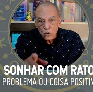 Sonhar com rato: João Bidu explica o significado