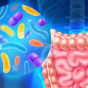 Feridas na pele podem bagunçar bactérias do intestino