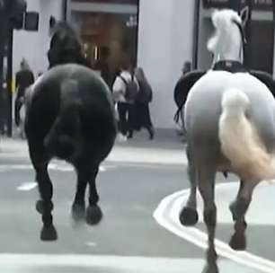 Cavalos fogem do Palácio de Buckingham, machucam pessoas e danificam carros