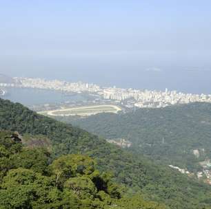 Degradação da Mata Atlântica chega a 93% em áreas do norte e noroeste do estado do Rio