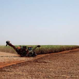 Produção de açúcar do centro-sul do Brasil cresce 31% na 1ª quinzena, acima da expectativa