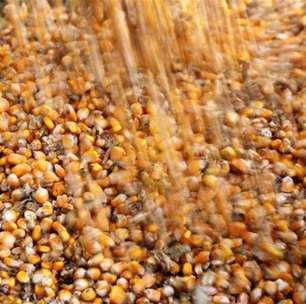 Exportações de grãos da Ucrânia na safra 2023/24 alcançam 40,3 milhões de toneladas
