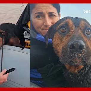 Protetora dos animais resgata cachorro que estava preso em rede no meio da enchente