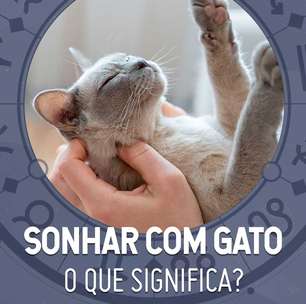 João Bidu explica sonhos com gatos: o que significa?