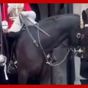 Cavalo da Guarda Real morde turista em Londres
