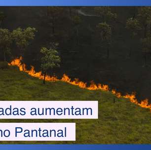 Emergência no Pantanal: queimadas aumentam 898% - e vai piorar
