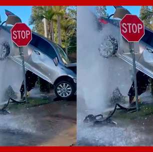 Carro bate em hidrante, é atingido por jato de água e fica suspenso no ar