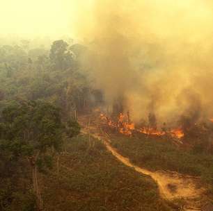 Impactos Ambientais: o que são, principais tipos, causas e consequências