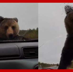 Urso assusta casal que enfrentava problemas com o carro em rodovia na Rússia