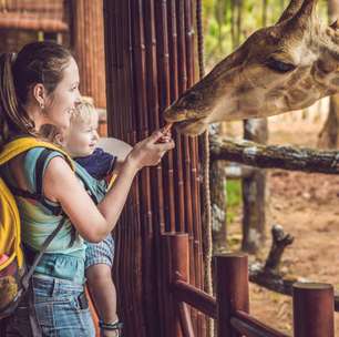 Zoológico de São Paulo - um guia completo com atrações, preços, como chegar e curiosidades sobre o local