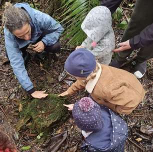 Projeto Natureza de Criança trata o "déficit de natureza" oferecendo imersão lúdica no meio ambiente para crianças e suas famílias