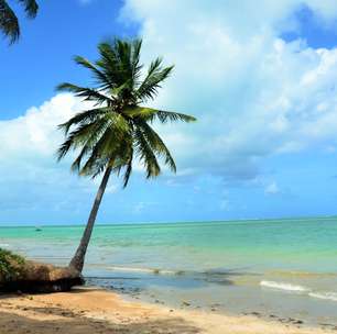 Brasil indica praias e marinas candidatas ao Programa Bandeira Azul