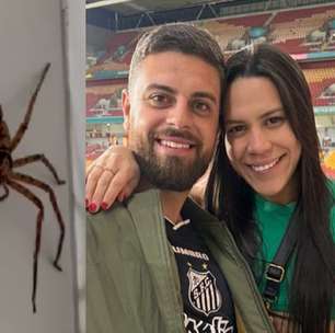 'Batismo aconteceu': Casal de brasileiros encontra aranha 'gigante' em banheiro na Austrália