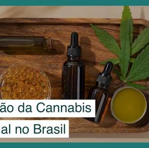 4 razões para a expansão da cannabis medicinal no Brasil