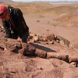 'Salamandra dos infernos': o animal gigante que dominava a Terra antes dos dinossauros