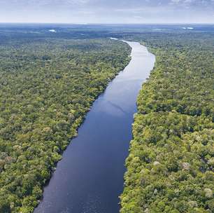 Justiça bloqueia R$ 292 milhões de pecuarista para compensar desmatamento na Amazônia