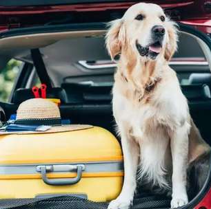 Dicas para transportar animais de estimação em viagens