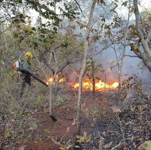 Governo toma medida para agilizar resposta contra incêndios florestais em Goiás