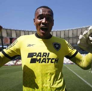 John, goleiro do Botafogo, investe em analista para melhorar desempenho