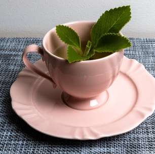 3 receitas de chá de boldo para melhorar a digestão