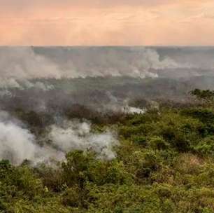 Nova lei define regras para uso do fogo em áreas rurais