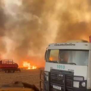 Ibama: fogo está controlado em SP e Pantanal, mas há "muitos" focos na Amazônia