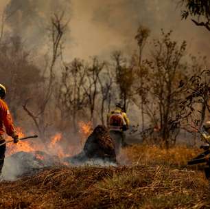 Além da bituca de cigarro: saiba quais materiais podem causar incêndios acidentais