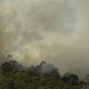 Mesmo distante da bancada agro, governo acredita em avanço de pauta ambiental