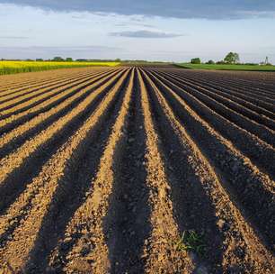 Sem chuva, plantio da soja em SP pode atrasar