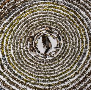 Mosaico de pássaros, moldura na lua: as imagens vencedoras do 'Oscar' da fotografia de aves