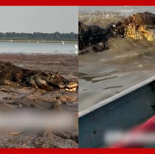 Pescador atravessa lago repleto de jacarés durante seca no Amazonas