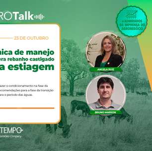 Técnica de manejo recupera rebanho castigado pela estiagem