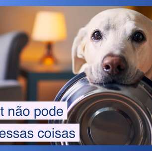 Coisas que seu pet não pode comer (e você está dando pra ele mesmo assim)