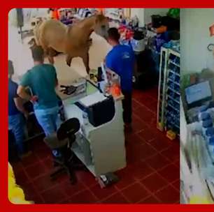 Cavalo 'invade' loja, derruba prateleiras e assusta funcionários no RS