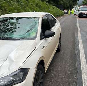 'Isso vai me perturbar por muito tempo', diz motorista que atropelou e matou pedestre na BR-277, em Balsa Nova