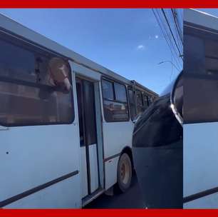 Motociclista flagra cavalos sendo transportados dentro de ônibus no Rio Grande do Sul