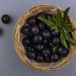 Pão com casca de jabuticaba pode ser uma nova solução para controlar a diabetes