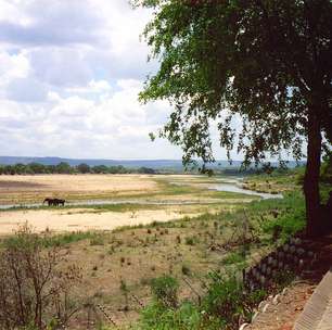 Animais ferozes na paisagem: Trem abandonado é transformado em hotel no meio da selva na África do Sul