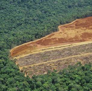 Agricultura intensiva e desmatamento levam planeta 'à beira do precipício', diz ONU